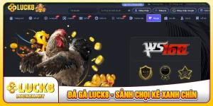 đá gà LUCK8