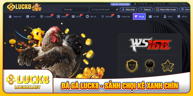 đá gà LUCK8