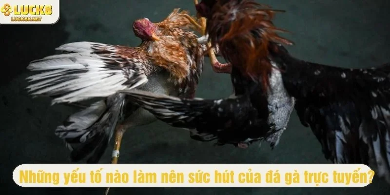 Kết quả trận đấu được tính toán dựa trên thuật toán ngẫu nhiên